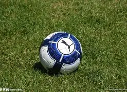 日亚冬会专,利申请加速,通道正式开,太阳城,太阳城娱乐,太阳城app,太阳城赌场